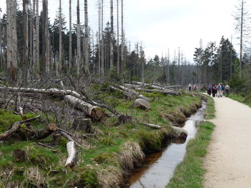 07-Oderbrueck-Brocken-Torfhaus-071