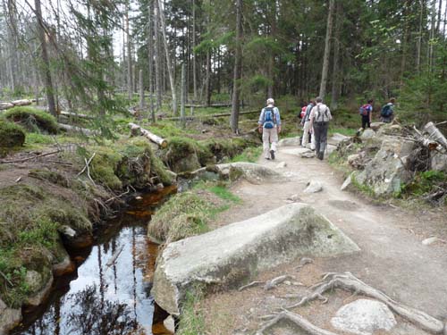 07-Oderbrueck-Brocken-Torfhaus-072