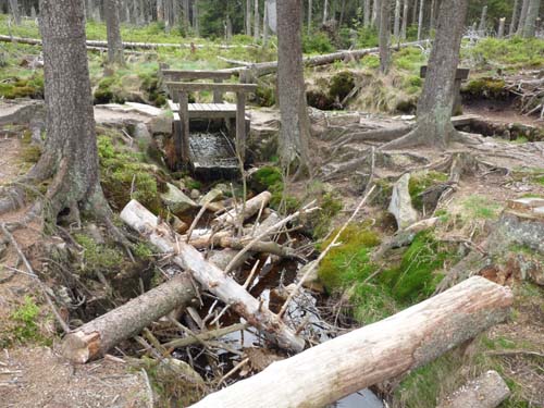 07-Oderbrueck-Brocken-Torfhaus-073