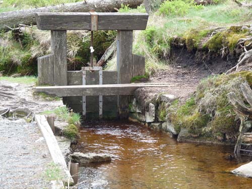 07-Oderbrueck-Brocken-Torfhaus-074
