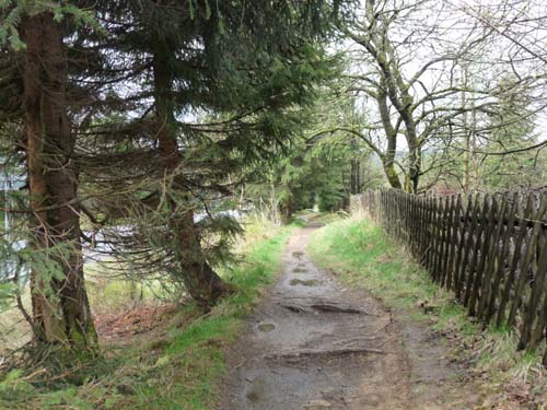 04-Torfhaus-Stoeberhai-Buntenbock-001