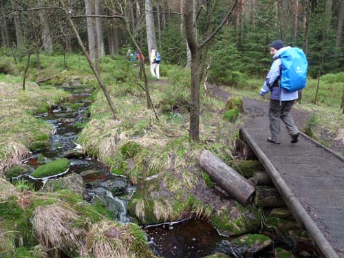 Magdeburger Weg, Harz