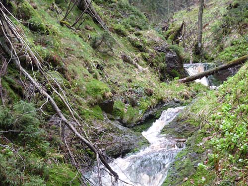 Brockenregion, Harz