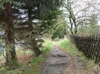 04-Torfhaus-Stoeberhai-Buntenbock-001