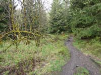 04-Torfhaus-Stoeberhai-Buntenbock-002