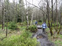 04-Torfhaus-Stoeberhai-Buntenbock-003