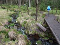 04-Torfhaus-Stoeberhai-Buntenbock-006