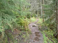 04-Torfhaus-Stoeberhai-Buntenbock-007