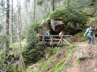 04-Torfhaus-Stoeberhai-Buntenbock-010