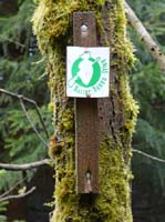 04-Torfhaus-Stoeberhai-Buntenbock-016