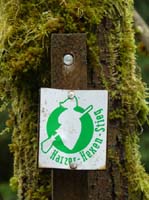 04-Torfhaus-Stoeberhai-Buntenbock-017