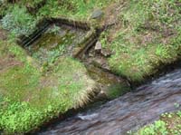 04-Torfhaus-Stoeberhai-Buntenbock-018