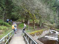 04-Torfhaus-Stoeberhai-Buntenbock-019