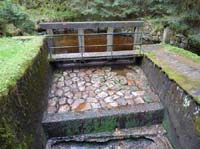 04-Torfhaus-Stoeberhai-Buntenbock-022