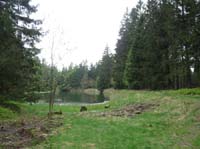 04-Torfhaus-Stoeberhai-Buntenbock-026