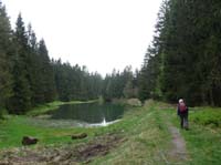 04-Torfhaus-Stoeberhai-Buntenbock-027