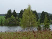 04-Torfhaus-Stoeberhai-Buntenbock-030