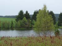 04-Torfhaus-Stoeberhai-Buntenbock-031