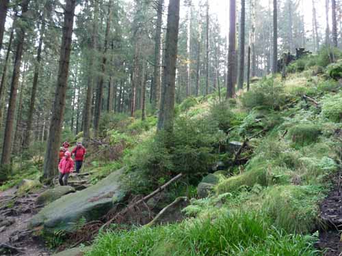 Harz-121013-119