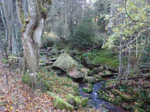 Harz-121013-351