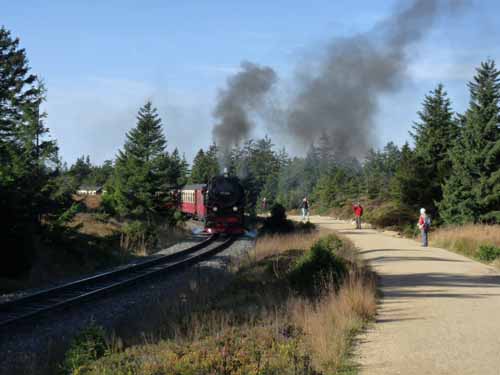 Harz-121013-376