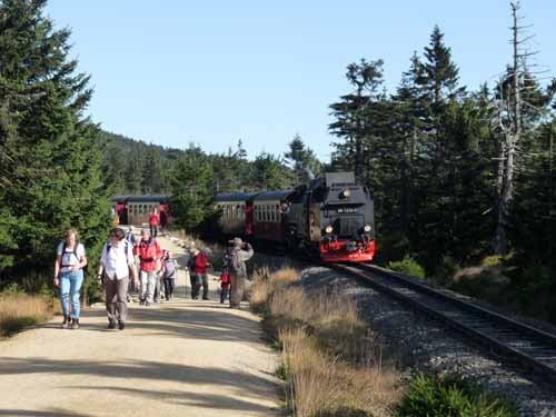 Harz-121013-394