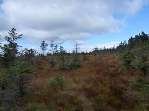 Harz-Brocken-121011-001