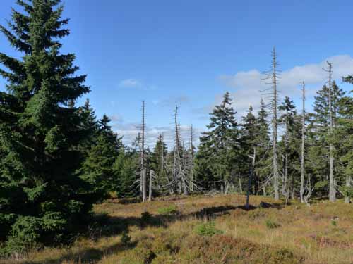 Harz-Brocken-121011-044