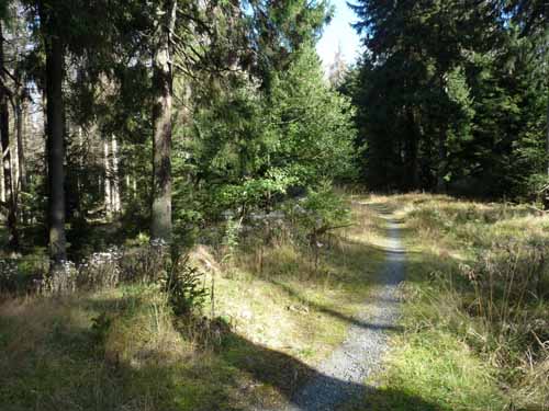 Harz-Brocken-121011-056