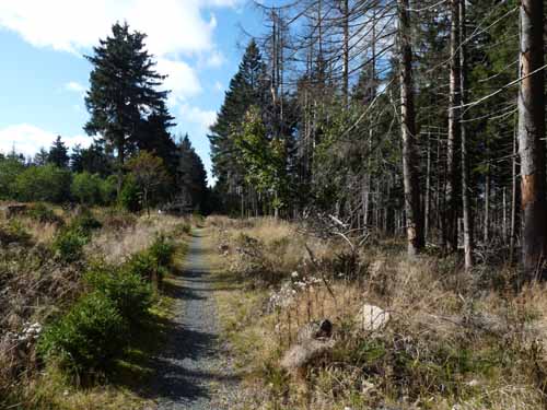 Harz-Brocken-121011-057