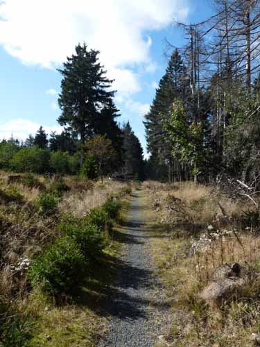 Harz-Brocken-121011-058