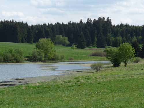 Harz-Polstertal-002