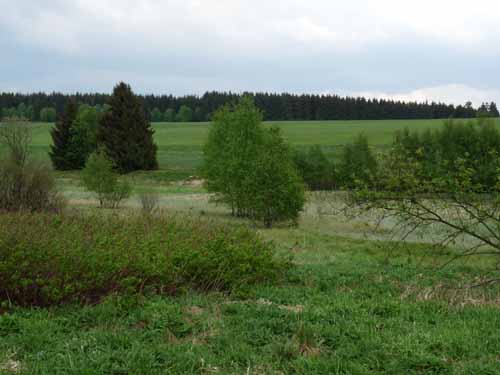 Harz-Polstertal-039