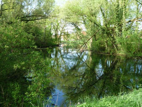 05-Foerste-Uehrde-Osterode-001