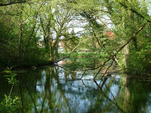 05-Foerste-Uehrde-Osterode-002
