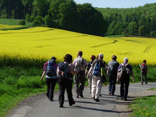 05-Foerste-Uehrde-Osterode-007