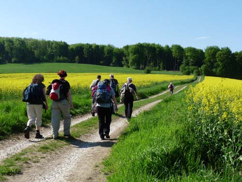 05-Foerste-Uehrde-Osterode-011