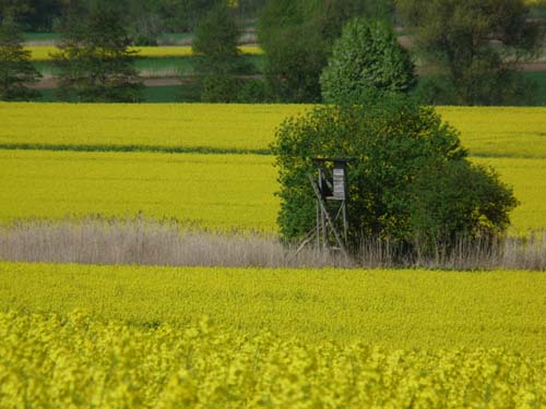 05-Foerste-Uehrde-Osterode-012
