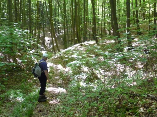 05-Foerste-Uehrde-Osterode-015