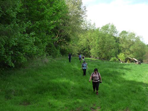 05-Foerste-Uehrde-Osterode-027