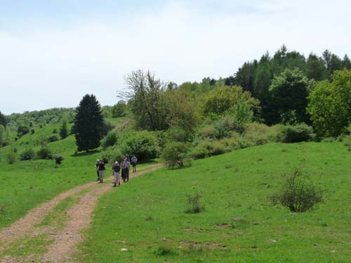 05-Foerste-Uehrde-Osterode-030