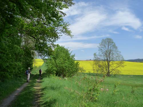 05-Foerste-Uehrde-Osterode-032