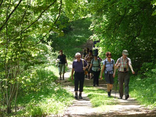 05-Foerste-Uehrde-Osterode-033