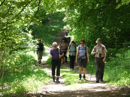 05-Foerste-Uehrde-Osterode-034