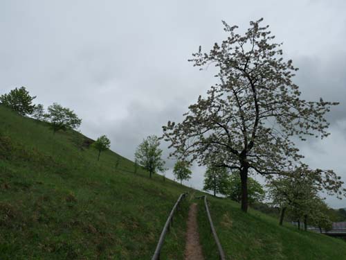 02-Steinkirche-Scharzfels-Einhornhoehle-001