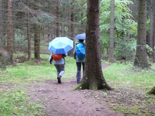 02-Steinkirche-Scharzfels-Einhornhoehle-006