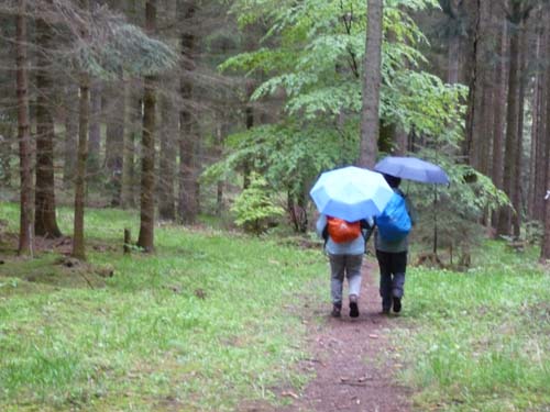 02-Steinkirche-Scharzfels-Einhornhoehle-007