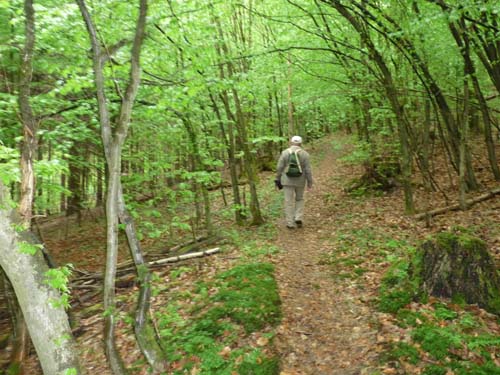 02-Steinkirche-Scharzfels-Einhornhoehle-011