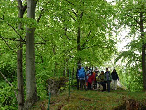 02-Steinkirche-Scharzfels-Einhornhoehle-027