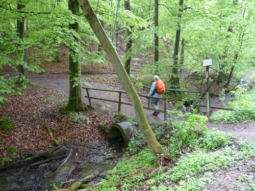 Einhornhöhle, Harz